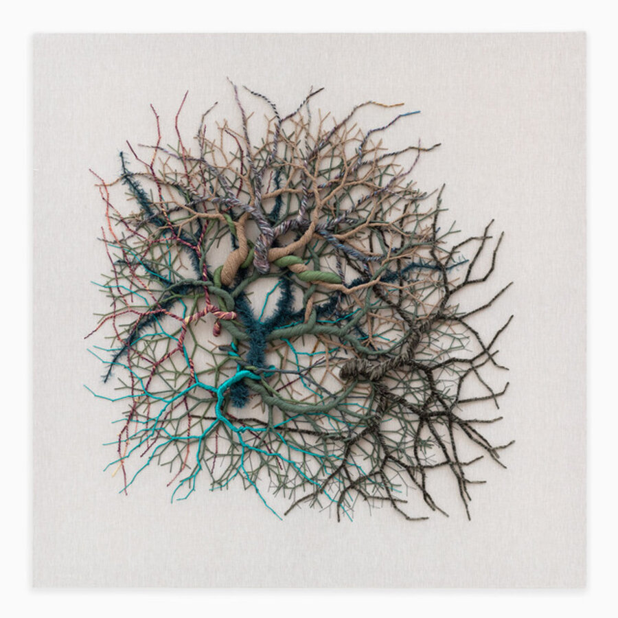 Ciclotrama 401 (fungi)
