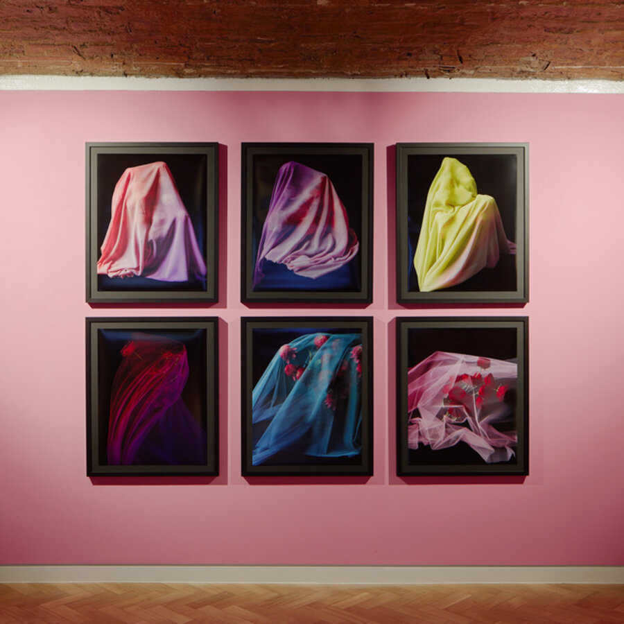 The Ghost Series