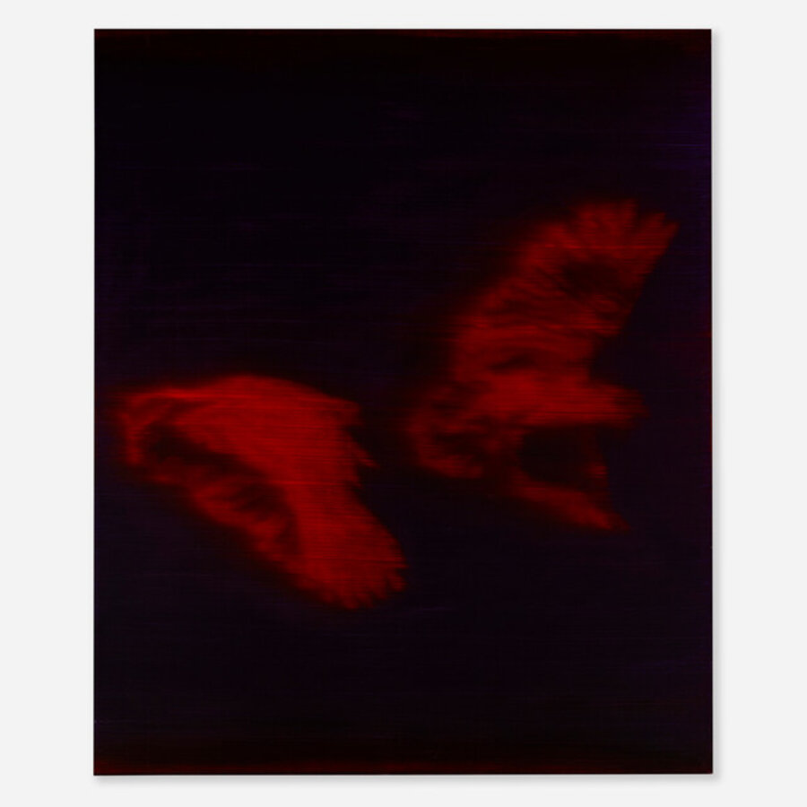 Night Bird