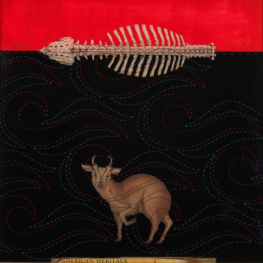 Deer in the Headlights (Animal/Human Spine)