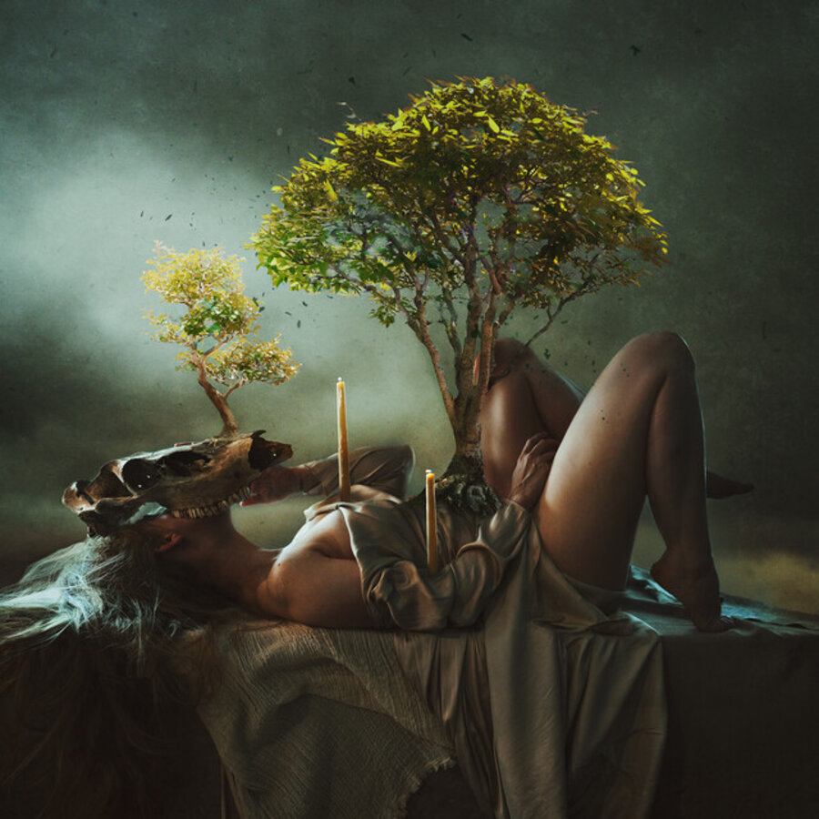 Life After Death