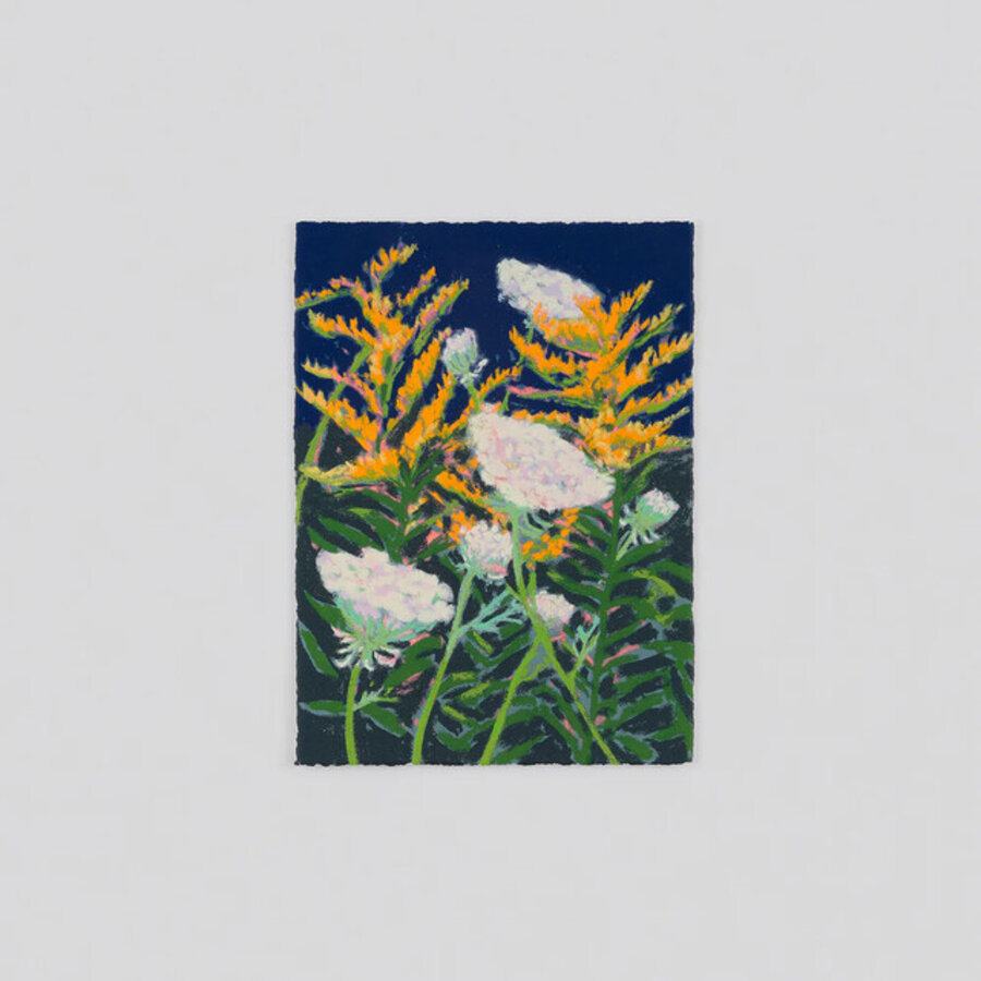 Goldenrod and Queen Anne's Lace