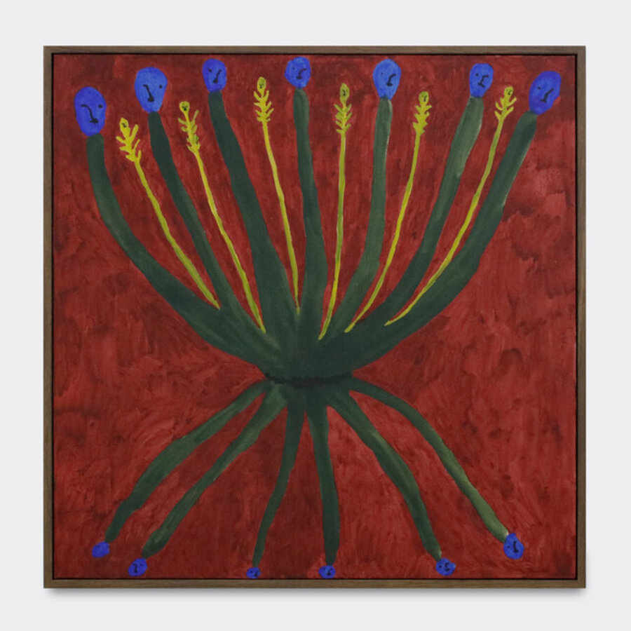 Electric Blue Plant