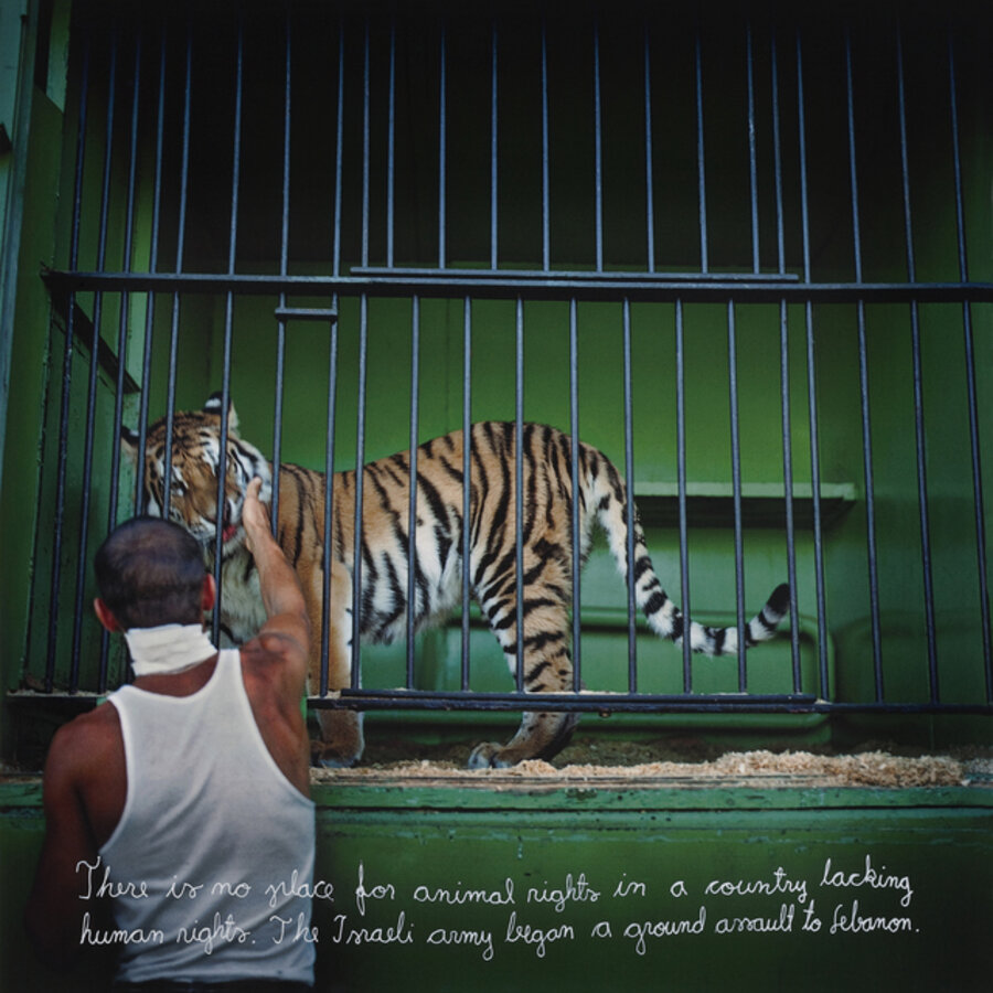 Untitled (Animal Rights, 29.06.2006)