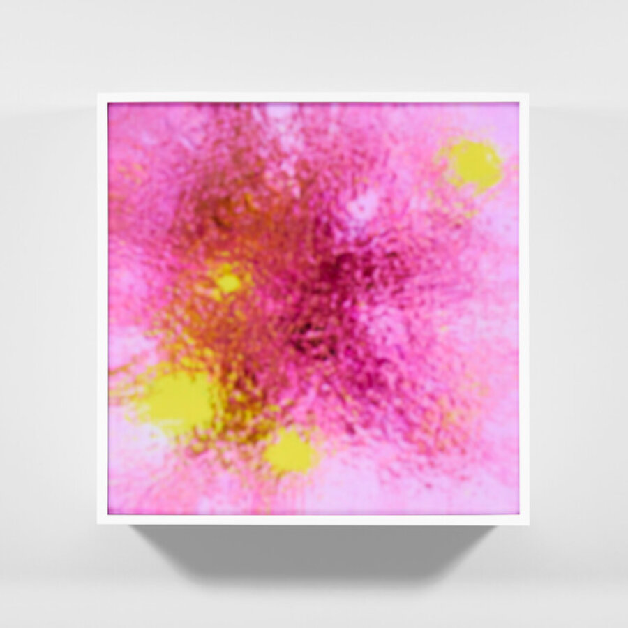 Pink Diffractor