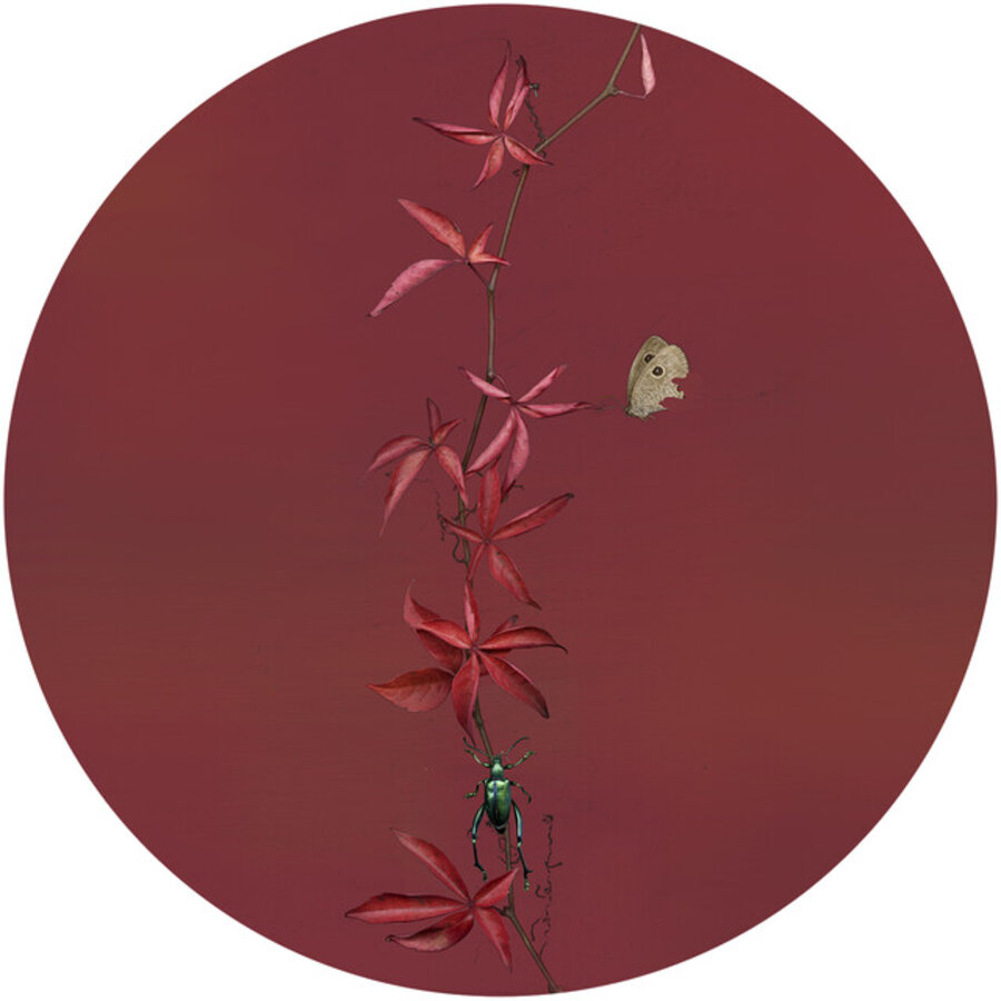 Untitled (Butterfly 3)