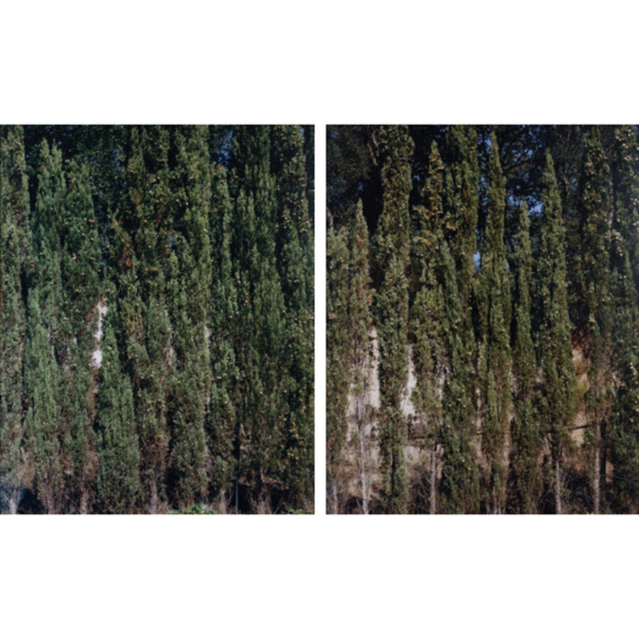 Cyprès (PT141.91-T139.91)