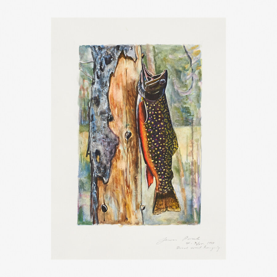 Brook Trout Hanging