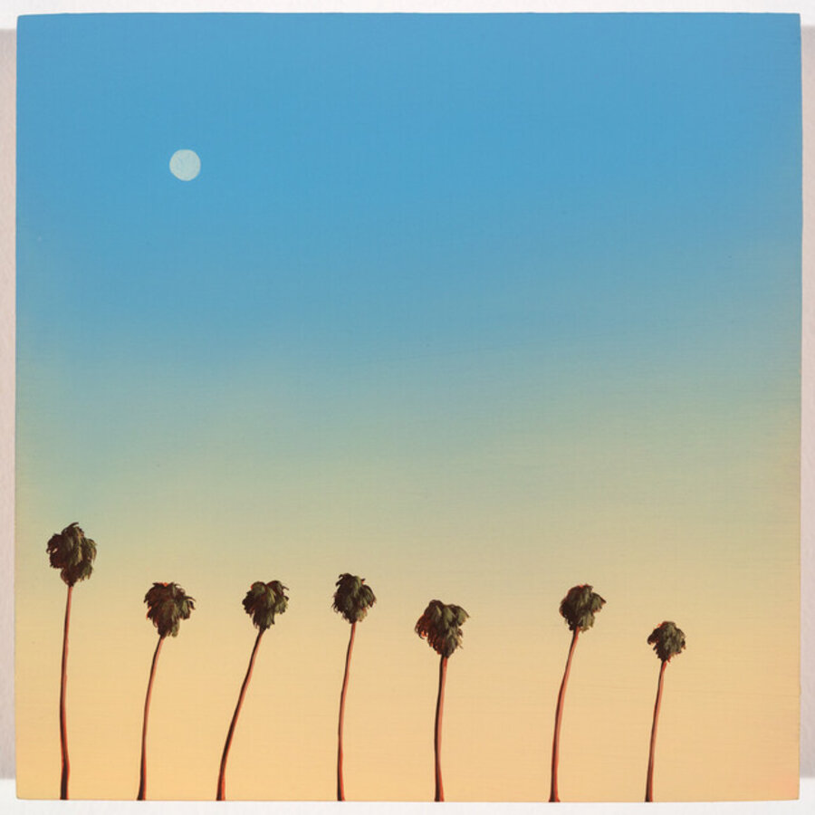 Hollywood Forever Palms