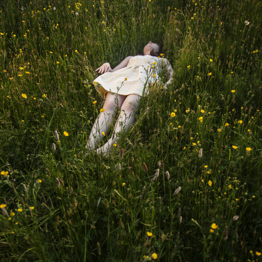 The Buttercups, Devin, Camden, Maine