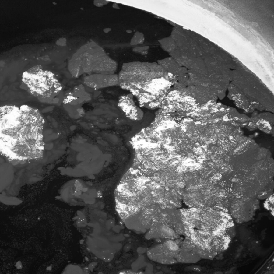 Oil Spill (7)