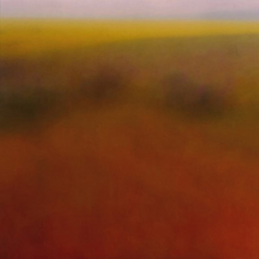 Canola Field, Sander Road