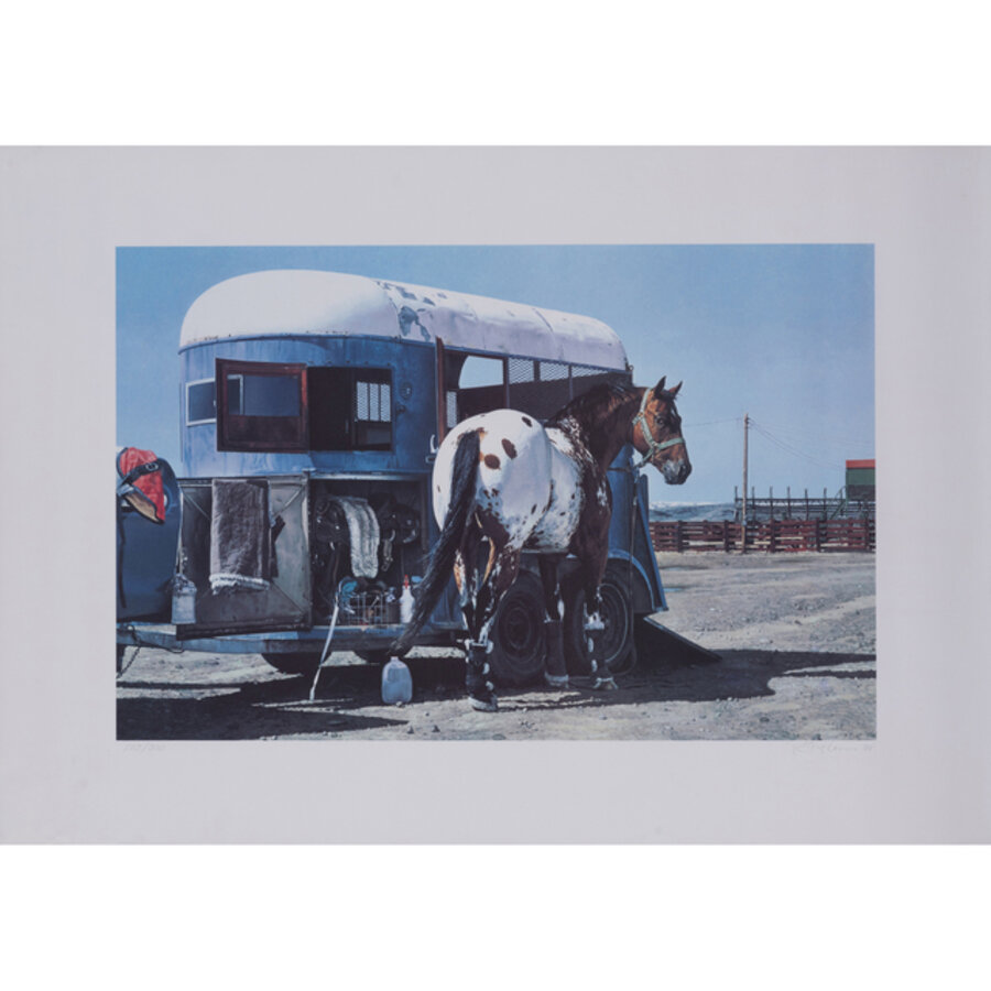 Trailer and horse