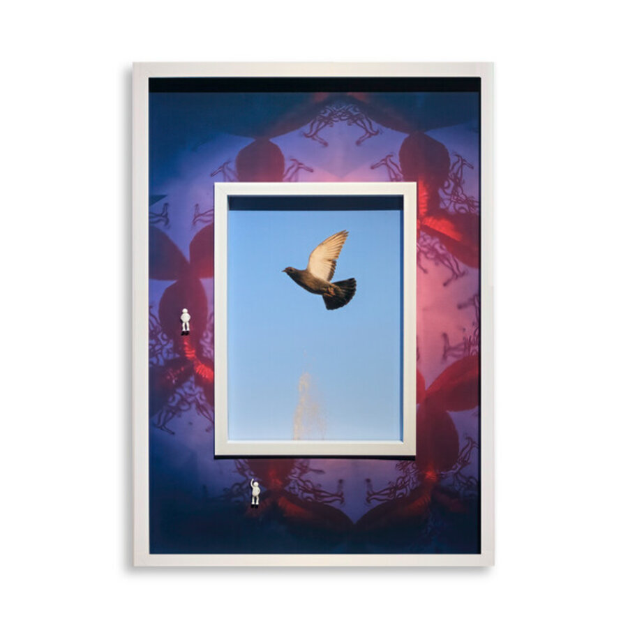 Fading Dream