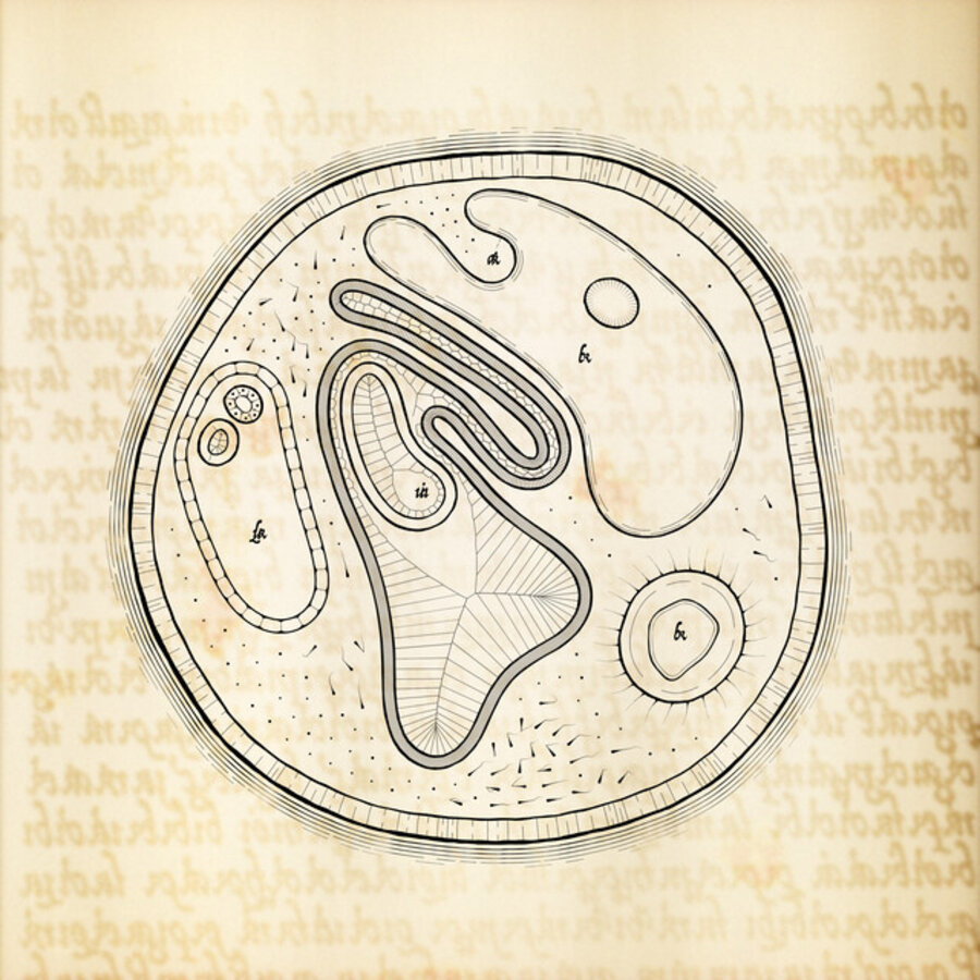 Cytographia #227