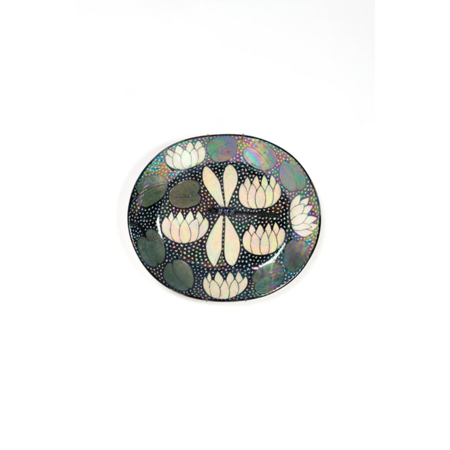 Dragonfly charger Model Plate