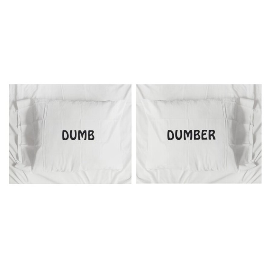 Pillow Talk Prints: Dumb & Dumber