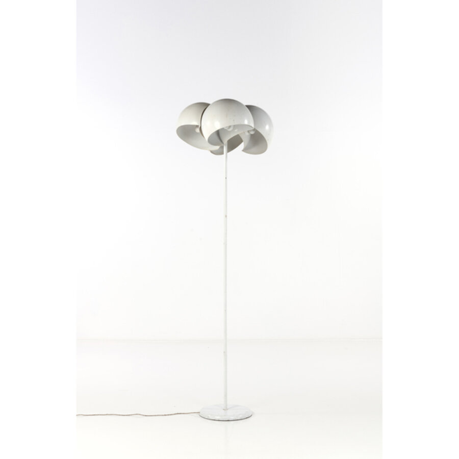 Guinione, Lamp