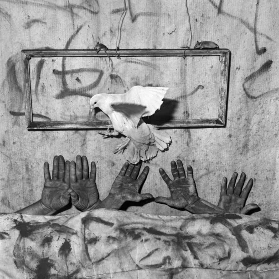 Five hands