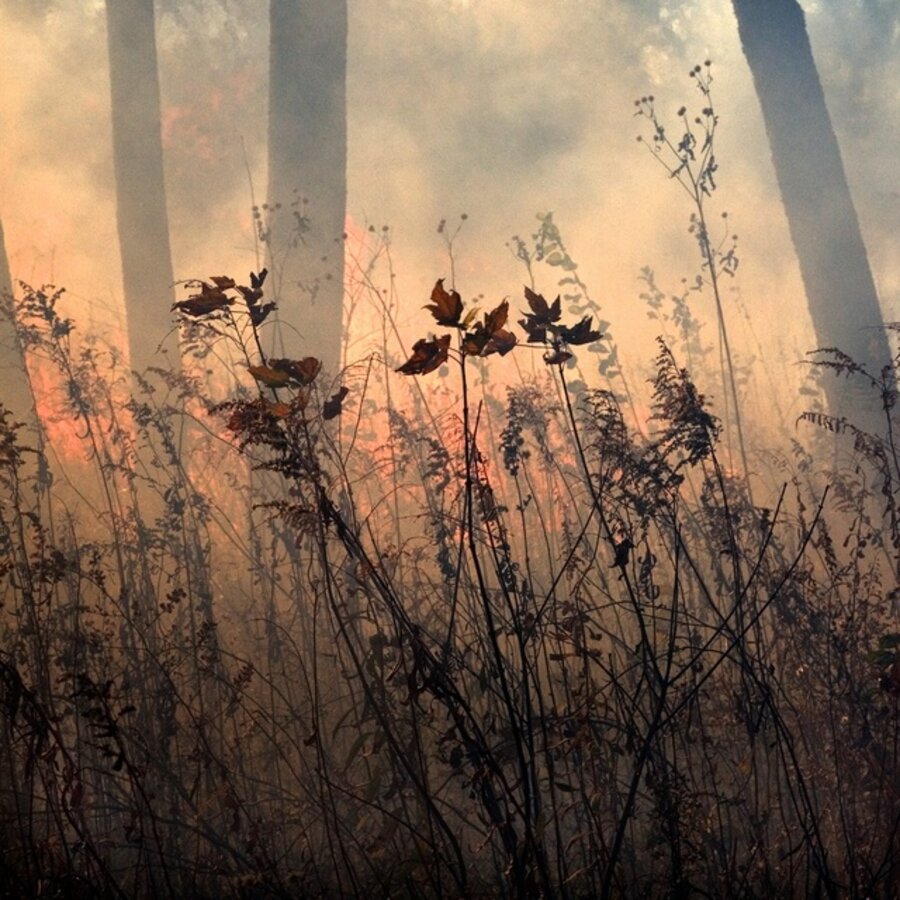 Burn No. 19