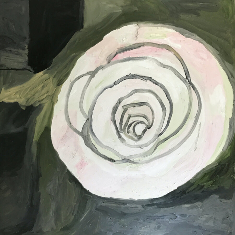 Moonlight Camellia