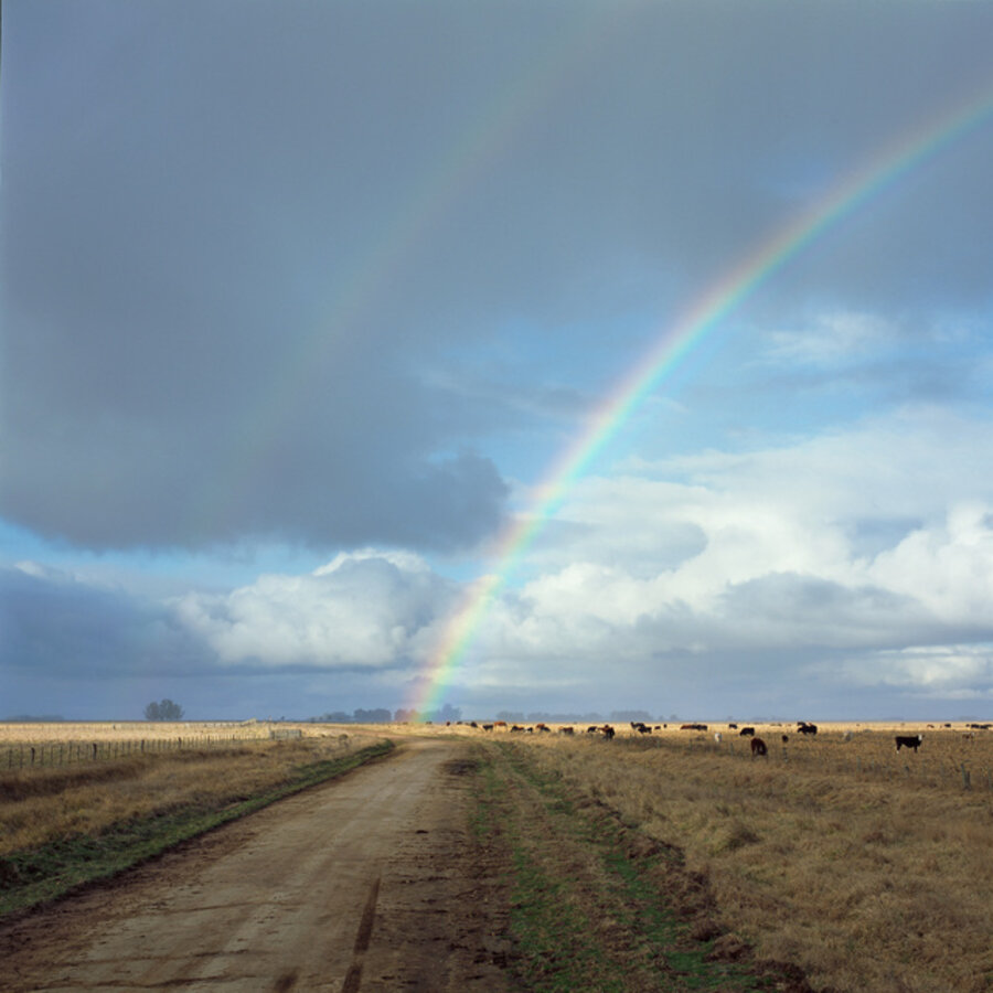 Road home