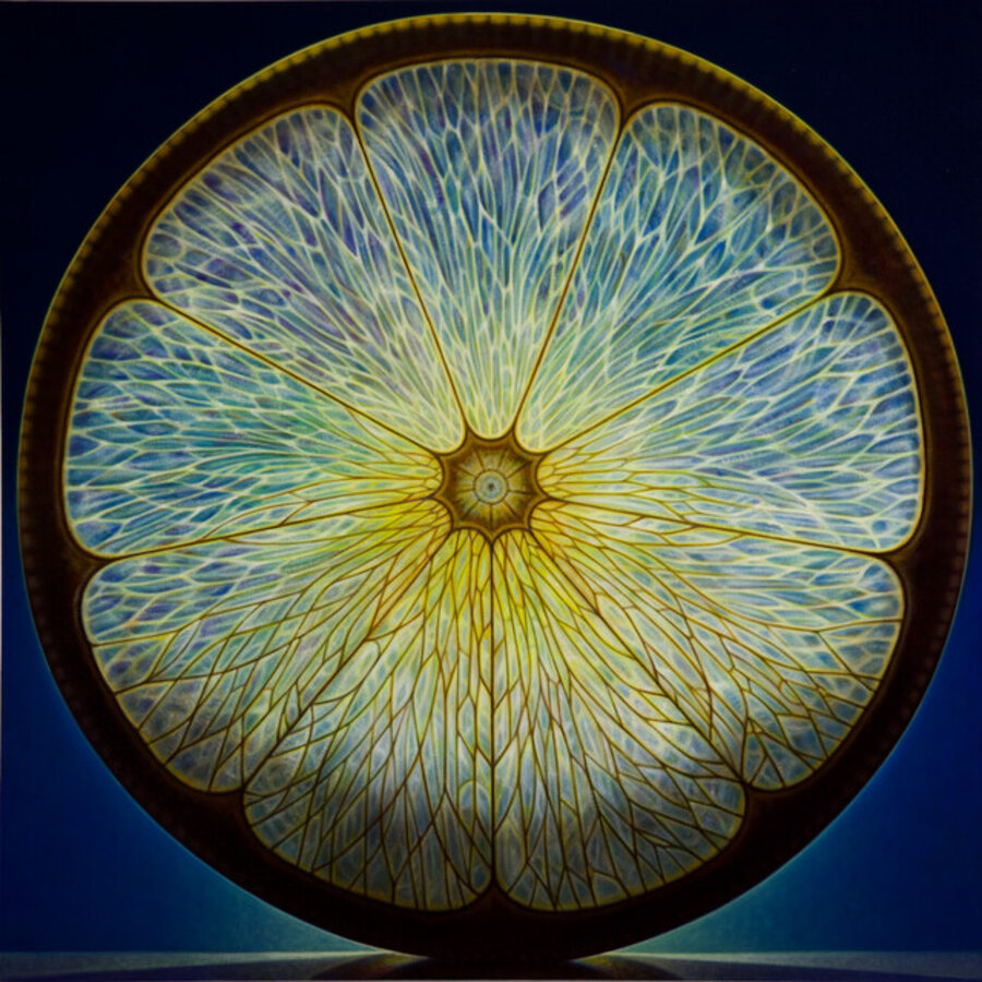 Rosette Series #41