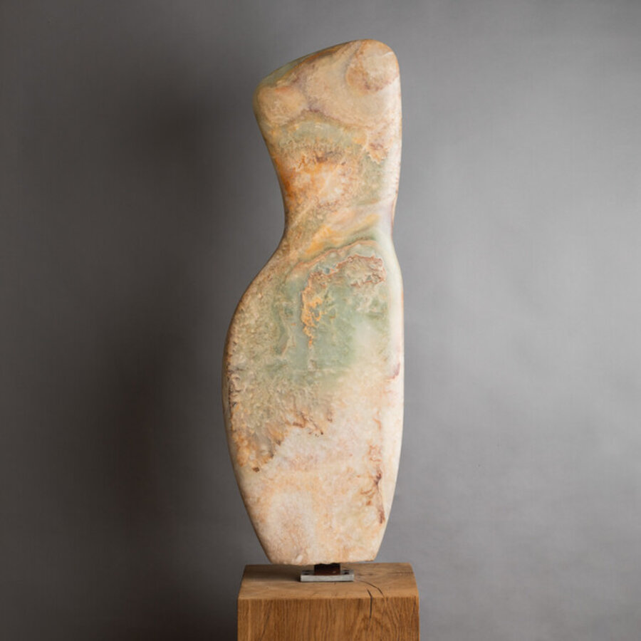 Torso