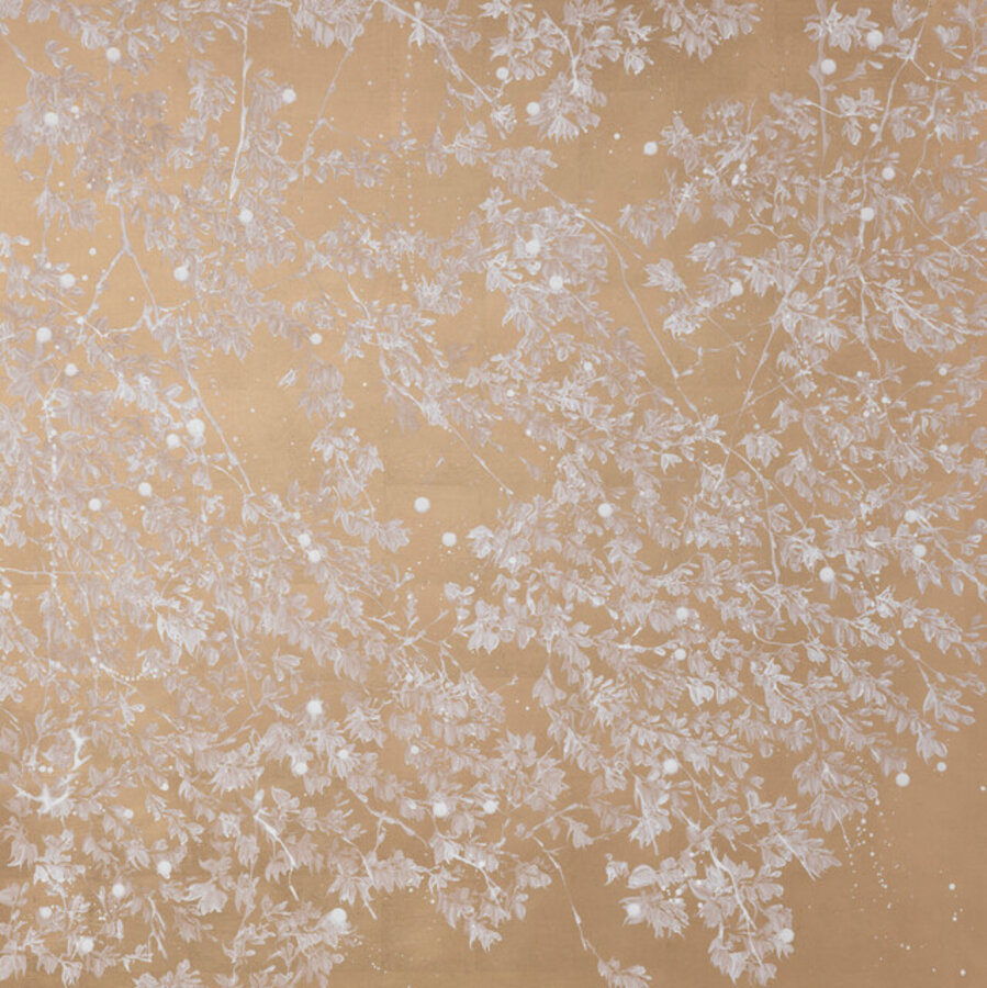 White Butterflies