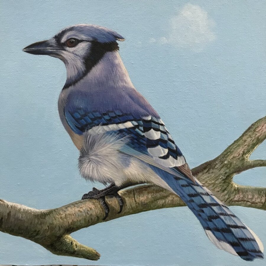 Bird Thinking of a Cloud #30