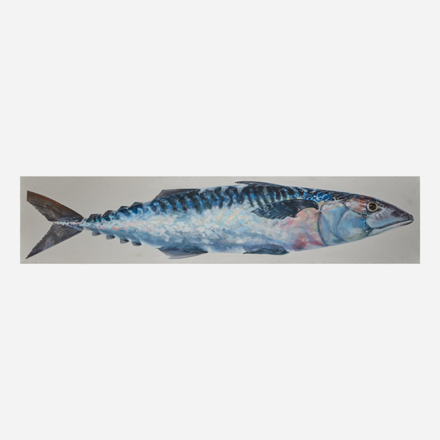 Mackerel
