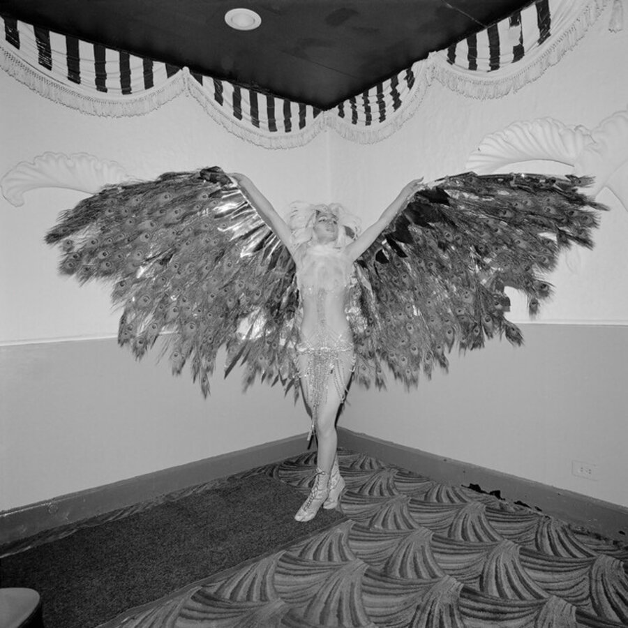 Spreading Wings at the COYOTE Hookers Masquerade Ball, Copacabana, NY, NY