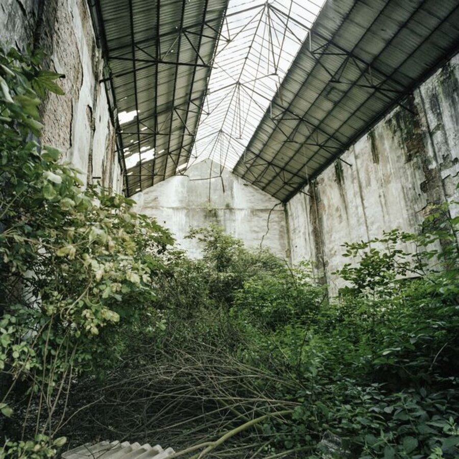 Neo-Nature F1