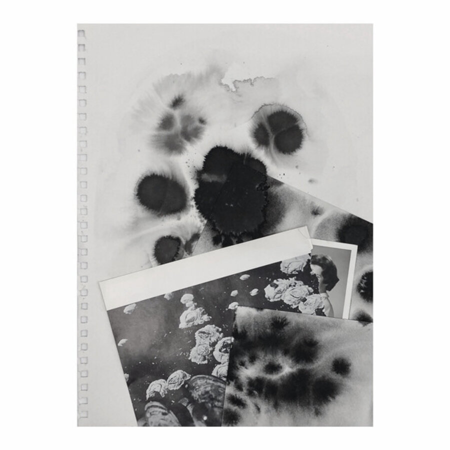 California Diary