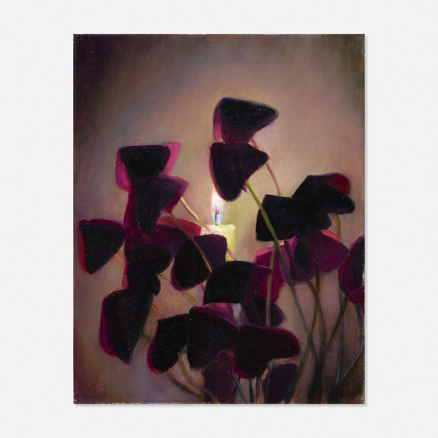 Candela (Oxalis)