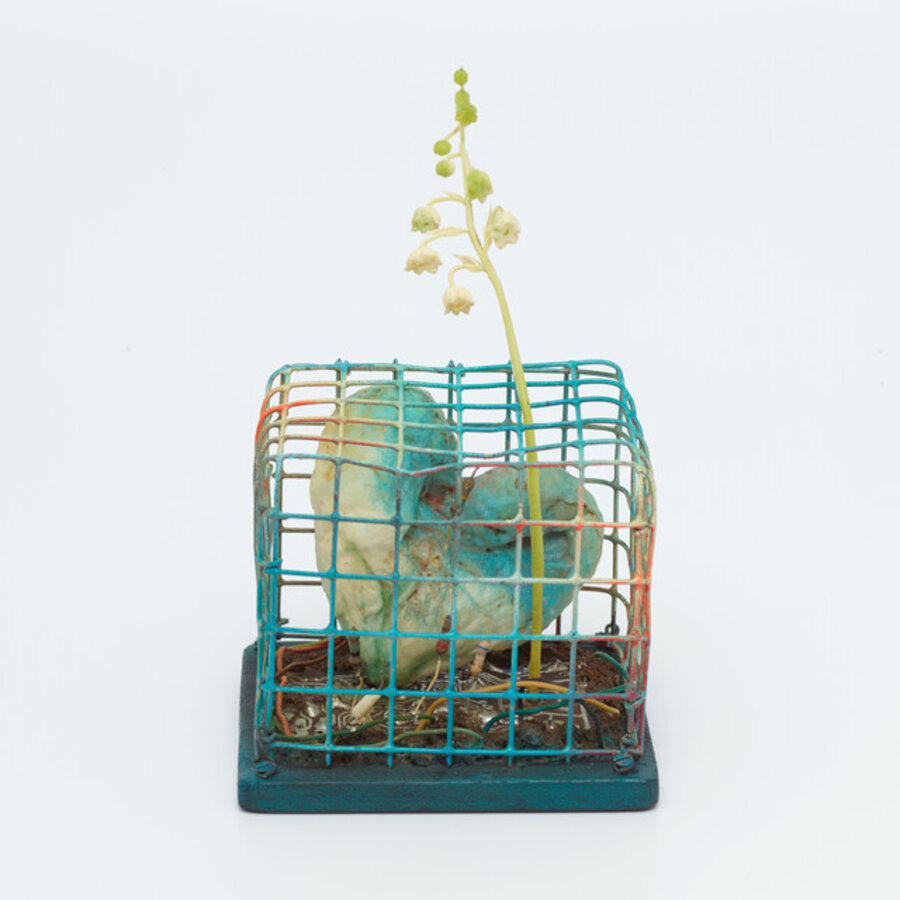 Birdcage With a Heart