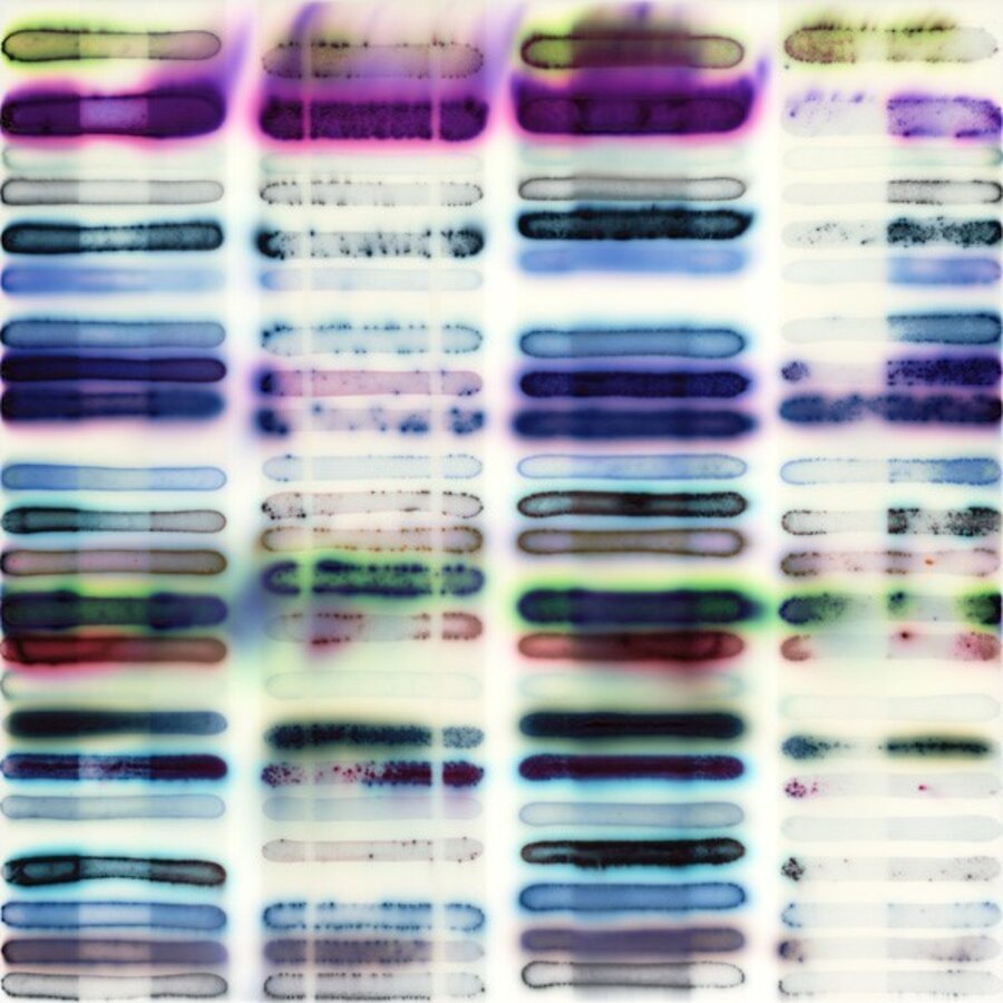 22 Tests and 4 Whites