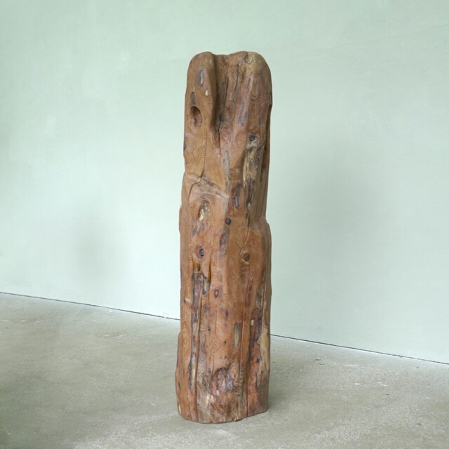 Family of Yew 2
