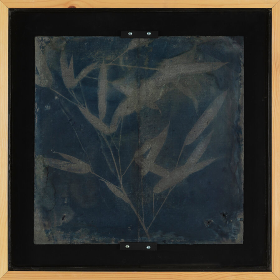 On Mineral Fibers (Summer House Herbarium) 04