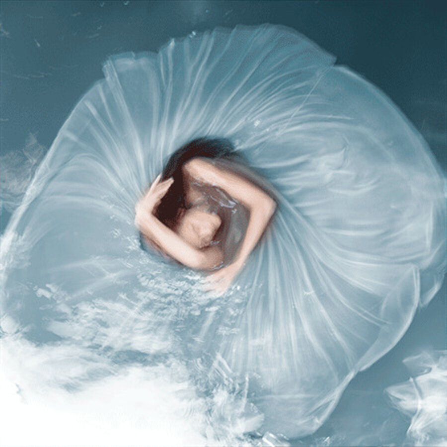 Forget-Me-Not Lenticular, from Falling Through Time