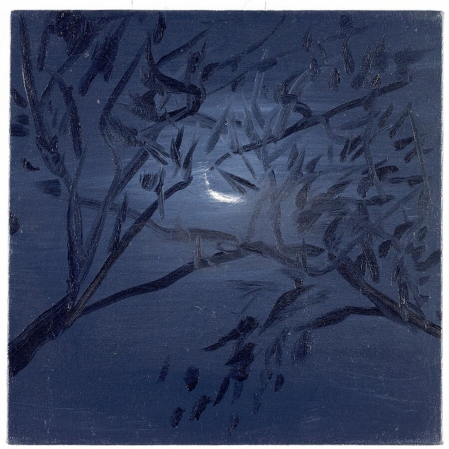 Moon O-311, 2006