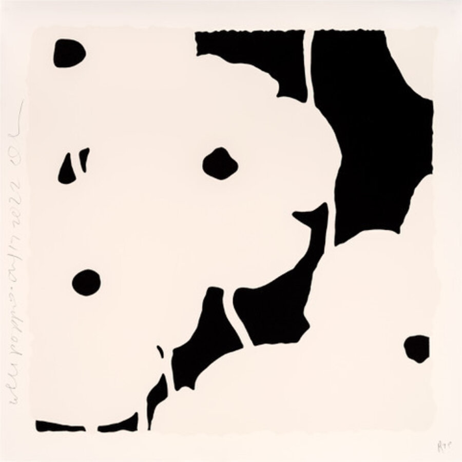 White And Black Poppies (September 7, 2022)