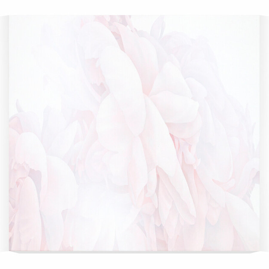 Material Study 24e