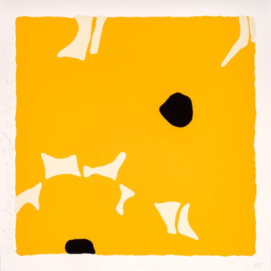Yellow And White Poppies (September 7, 2022)