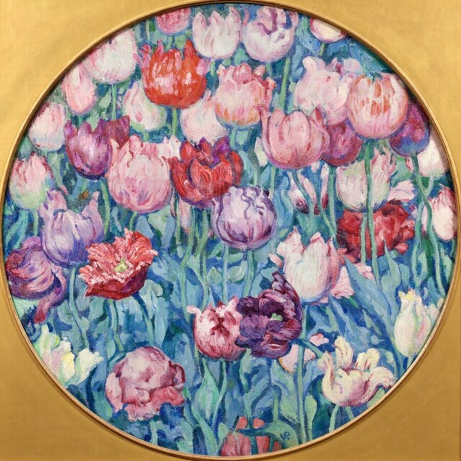 Tulipes