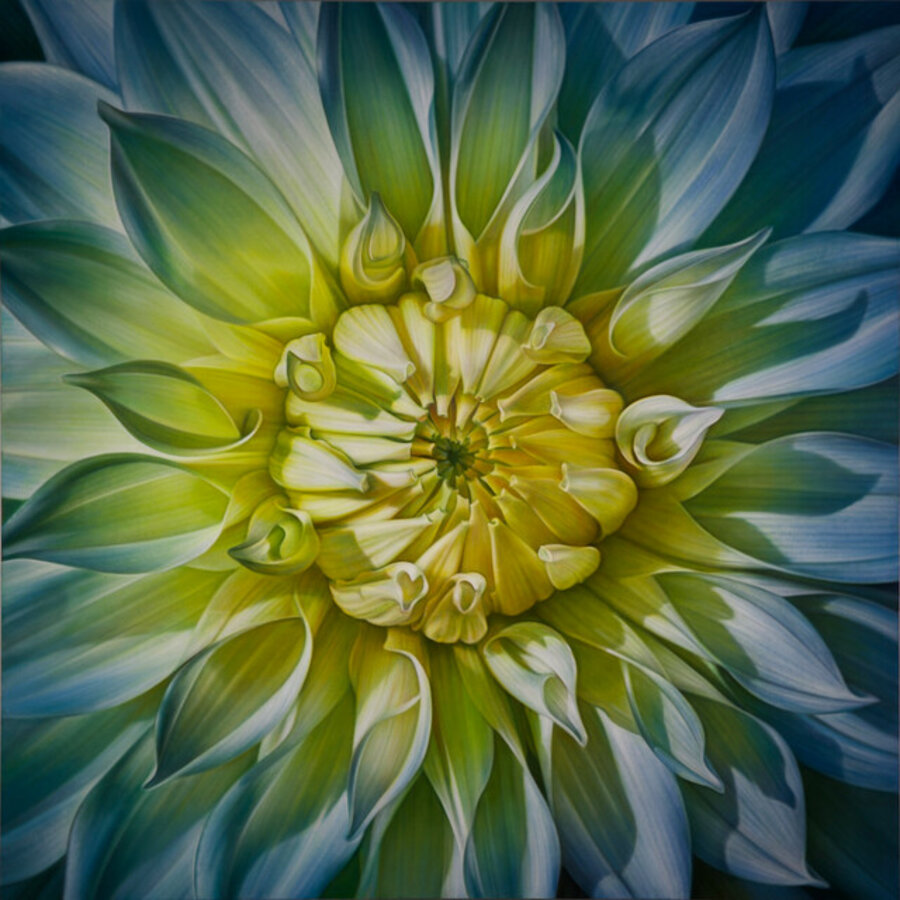 Dahlia Series #19