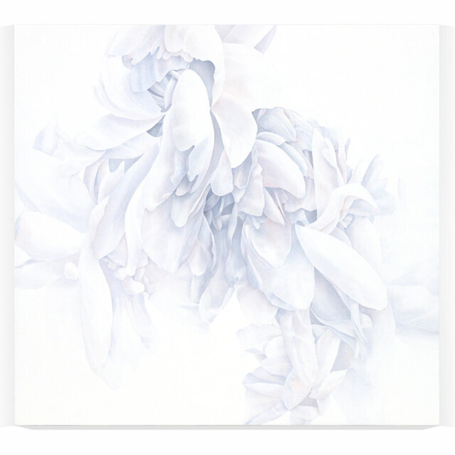 Material Study 18a