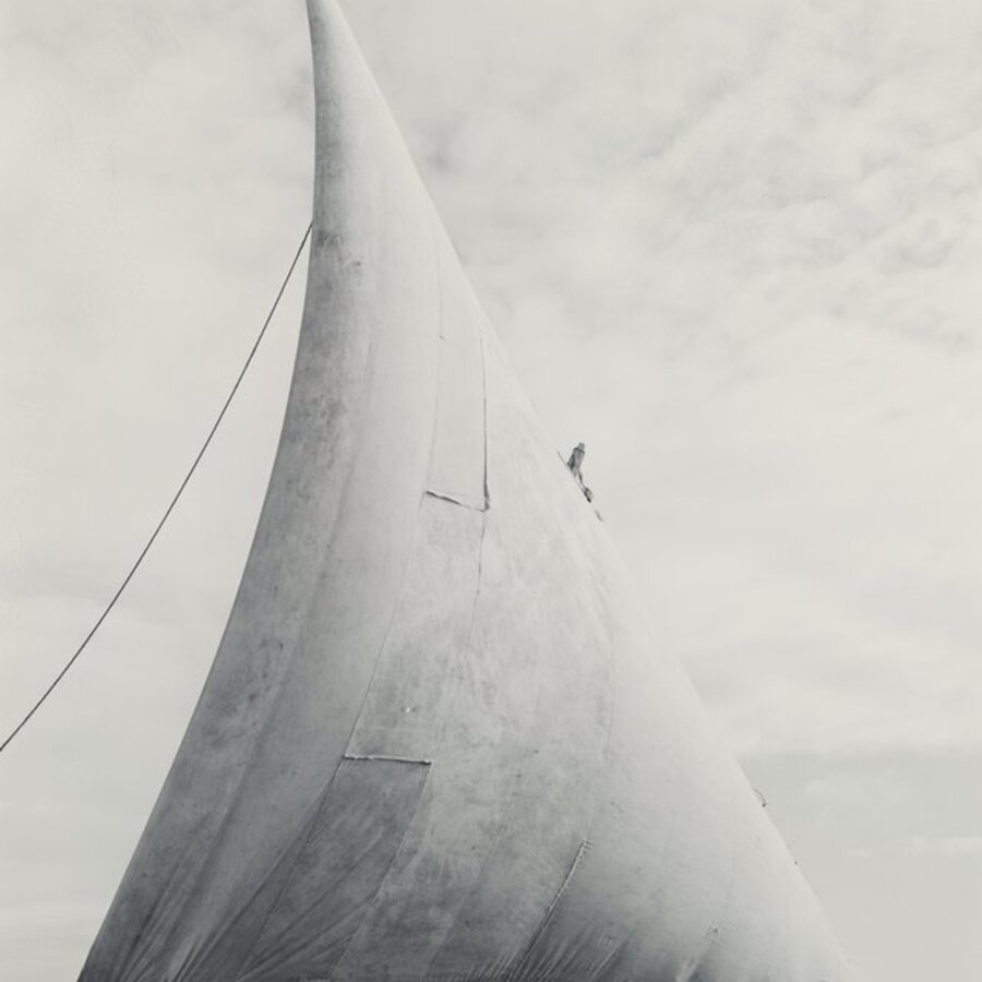 Dhow Sail, Lamu, Kenya