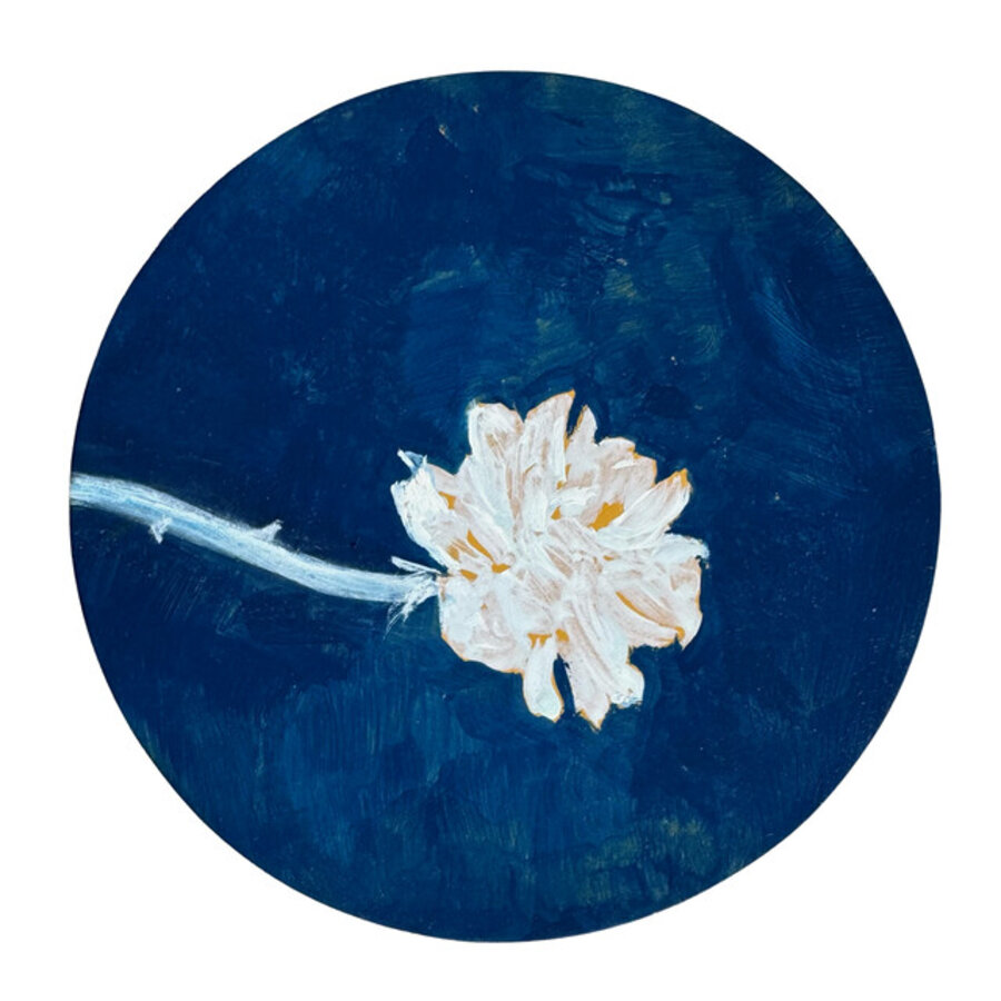 Untitled (Rose Study #1)