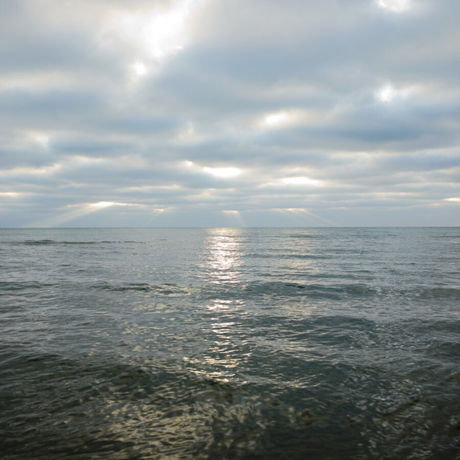 Lake Huron, 11.26.2010, 8:28 am